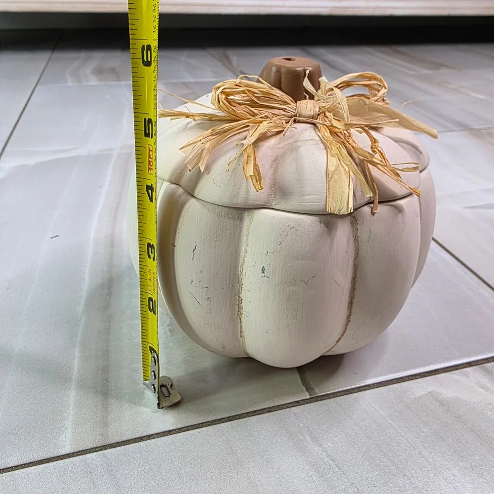 Pumpkin Hollow White Ceramic Pumpkin Jar with Raffia Bow Target‎ 010 05 0605